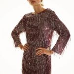 ZARA NWT Festive Burgundy Fringed Sequin Dress Photo 6