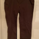 Ralph Lauren Lauren  Jean company 18w brown jeans Photo 0