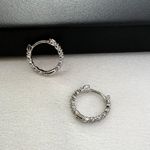 14mm Small Silver Hoop Earrings for Women Photo 1