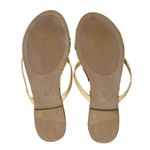 Women's Fruit Salad Flip Flop Shoes Tan Yellow Size 8 Photo 1