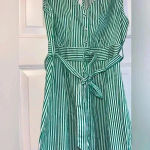 BB Dakota Sleeveless Green and White Striped Button-Down Summer Dress‎ with Tie Belt B43 Photo 2
