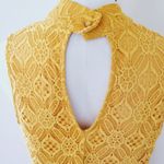 Society Girl  mustard lace shift dress size large Photo 5