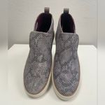 Toms Paxton Snake Print Slip On Sneakers - Size 8.5 Photo 2