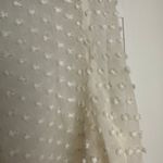 Beyond Vintage Swiss Dot V-Neck Long Sleeve Sheer Silk Top in White - Small Photo 12