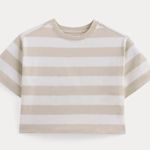 Everlane The Premium Weight Cropped Tee in Peyote Bone, Size Small Photo 4