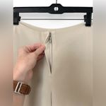 Eileen Fisher NWT  Petite Heavyweight Stretch Silk Georgette Wide Leg Pants Photo 1