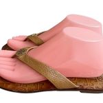 Tory Burch 8 Women Brown Tumbled Leather Gold Disc Logo Thong Sandals Flats Photo 1