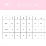 Anthropologie  Hutch Zebra Print Smocked Mini Dress Size XS NWT Photo 8