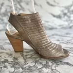 Paul Green Cayanne Booties Ankle Metallic Open Toe Block Heel 6 Champagne Chic Photo 9