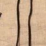 Dogeared  Necklace Photo 0