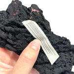 Free People Free People Day & Night Lace Long Sleeve Bodysuit Black Size XS Photo 12