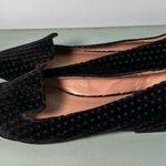 Anthropologie  black velvet polka dot pointy toed flats loafers size 7 Photo 1