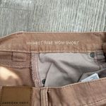 American Eagle Outfitters Mom Shorts Photo 4