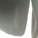 Simply Southern Sherpa Photo 1