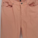 Eileen Fisher   Orange Size 14 Cotton Stretch Denim  Straight Leg Jeans‎ Bag—4 Photo 2