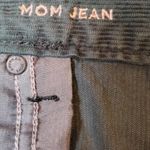 American Eagle  Green Corduroy High Rise Pants, 22R Photo 8