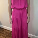 Naked Zebra Dress Photo 1