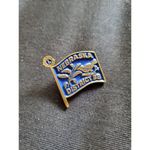 VTG Nebraska District 38 Blue Flag Badge Brooch Lions Club Lapel Hat Pin Estate Photo 3