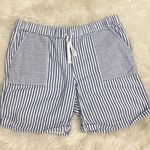 J.Jill  Blue And White Striped Shorts Photo 0