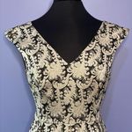 Kensie  Dress Size Small Photo 1