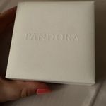 Pandora Charm Bracelet Photo 1