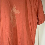 Cotopaxi  T Shirt Womens XL Organic Cotton Gorpcore Outdoorsy Distressed Stains‎ Photo 0