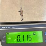 14K white gold yellow sapphire seahorse pendant Orange Photo 6