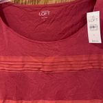 Loft Ann Taylor Scoop Neck Short Sleeve Pintuck Stripe Top Rust Orange Sz Large Photo 2