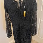 Alexia Admor Black Lace Dress Photo 0