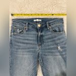 sts blue  Riley High Rise Jeans — size 27 Photo 6