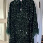 NWT J.Marie Selena Sequin Feather Sleeve Dress Size Small Green Photo 1