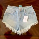 Cello  Brand New Denim Shorts Photo 0