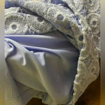 Banana Republic Womens Blouse Cornflower TankTop Lace Workwear Career Momcore XS Photo 3