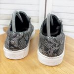 J/Slides Lacee Leather Snake Lace Up Sneakers Dark Grey 9‎ Gray Photo 5