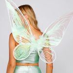 Green Fairy Wings Photo 0