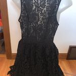 Tobi Floral Lace Dress Photo 4