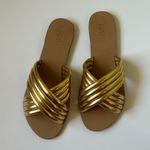 Raye Women's Ziggy Flats in Tan & Gold Photo 1