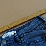 Torrid  Blue Jean Shorts with Floral Embroidery Photo 6