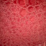 Beijo Pink Patent Leather Crocodile Photo 6