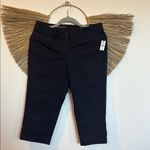 Talbots Blue Cropped Ankle Pants with Tailored Fit Photo 1