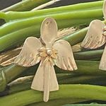 Sterling Silver Southern 2-tone Angel Earrings Photo 1