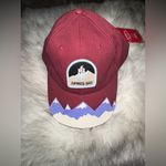 Free People NWT  + All American Needle Apres Ski Baseball Cap Photo 6