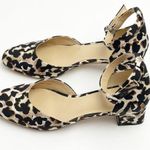 CAbi Kiki Leopard Print Adjustable Ankle Straps Closed Toe Block Heels Size 9 Photo 3