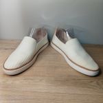 UGG  Knit Slip On Sneakers Shoes Womens Size 8 US Cream Casual Comfort Minimalist Photo 7