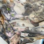 Cat lady box cat faces scarf. Large Photo 1