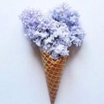 White House | Black Market WHBM Dress 4 Crimson Red Flowing Micro Pleated Holiday Christmas Party Cocktail Photo 8