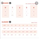 Sundry  Leopard Bikini Top Photo 10