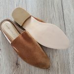 Very Volatile Mesquite perforated slide size 8 Photo 3