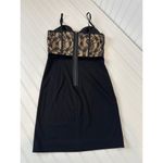 Muse Black & Nude Lace Bodice Boned Sweetheart Neck Bodycon Mini Dress Size 2 Photo 1