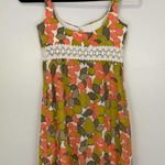 Milly  Floral Swiss Dot Fit & Flare Dress Size 6 Photo 8